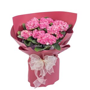 Bó hoa Cẩm Tú Cầu Hoàng Gia